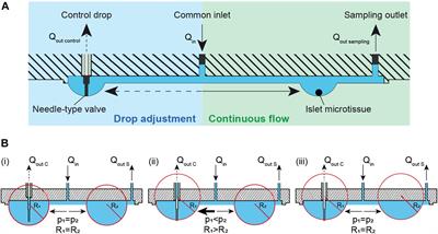 A Microfluidic Hanging-Drop-Based Islet Perifusion System for Studying Glucose-Stimulated Insulin Secretion From Multiple Individual Pancreatic Islets